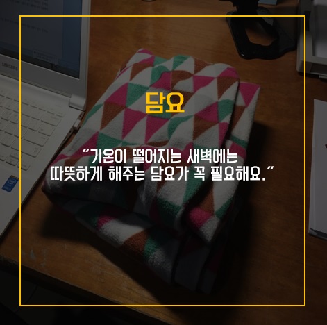[리스티클] 대학 시험기간 밤샘 공부 필수 아이템 5가지